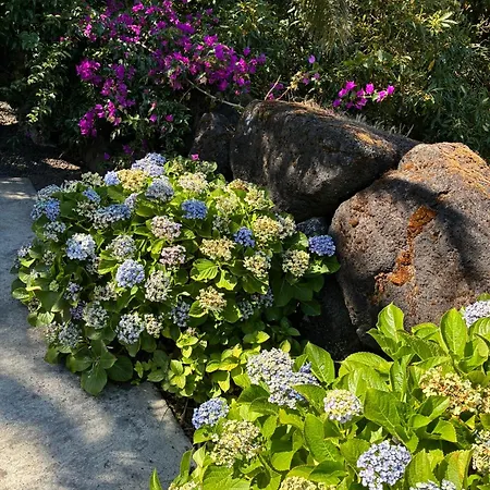 House, Sao Roque Do Pico 度假居 Cais do Pico