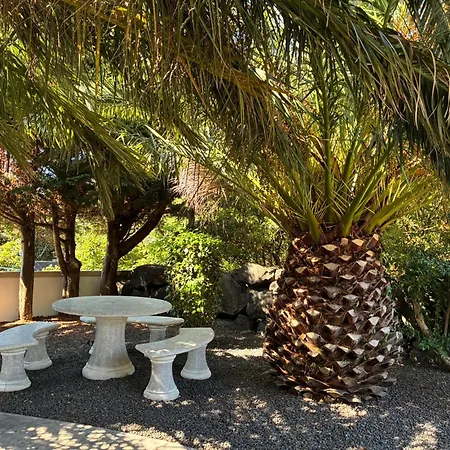 House, Sao Roque Do Pico 度假居