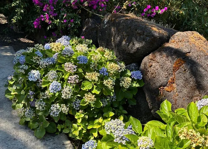 House, Sao Roque Do Pico בית נופש Cais do Pico