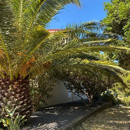 Feriehus House, Sao Roque Do Pico *